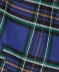 Blue Plaid Swing Dress
